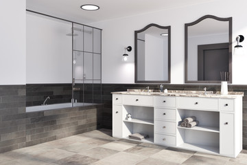 White and brick wall bathroom corner