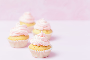 Cupcake decorated with pink buttercream on pastel pink background. Sweet beautiful cake. Horizontal banner, greeting card for birthday, wedding, women's day. Close up photography. Selective focus