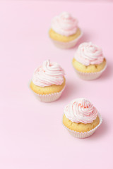 Cupcake decorated with pink buttercream on pastel pink background. Sweet beautiful cake. Vertical banner, greeting card for birthday, wedding, women's day. Close up photography. Selective focus