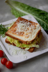 A delicious sandwich with salad and chicken. Sprinkled with cheese. A quick delicious Breakfast