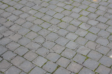 Fototapeta premium Cobblestone paving in Piazza San Pietro, Rome 