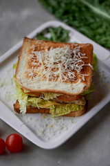 A delicious sandwich with salad and chicken. Sprinkled with cheese. A quick delicious Breakfast