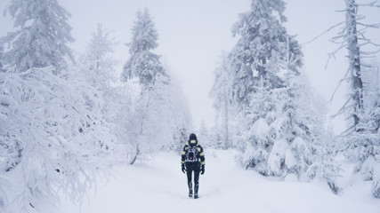 Fototapeta na wymiar Winter landscape, Frozen Trees, Czech Mountains, Winter, Person on the way
