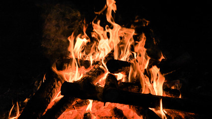 Fototapeta premium Flames in campfire, Close up