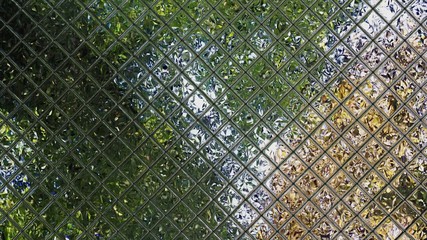 3D rendering mosaic with distorted image reflection - The forest floor