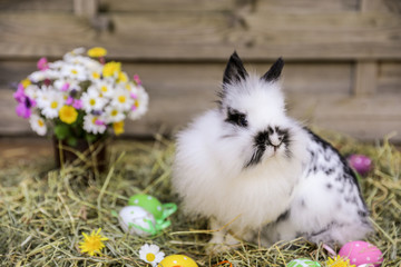 Rabbit and decorated Easter eggs on a dry grass in the background of a vase with a bouquet of spring wildflowers, Easter concept.
