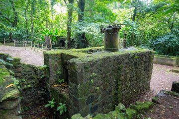 Martinique Island. Ruines of a sugar - rhum factory near Anse Couleuvre, Martinique, Caribbeans.