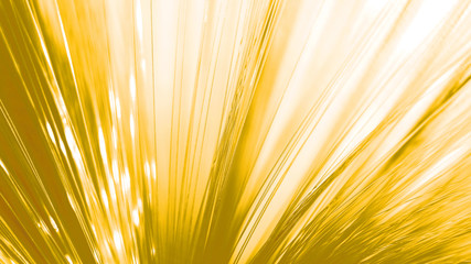 optic fiber yellow