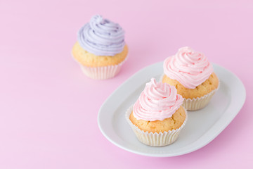 Cupcake decorated with pink and violet buttercream on pastel pink background. Sweet beautiful cake. Horizontal banner, greeting card for birthday, wedding. Close up photography. Selective focus