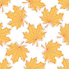 Seamless vector texture from beautiful graceful maple leaves. Autumn leaf fall