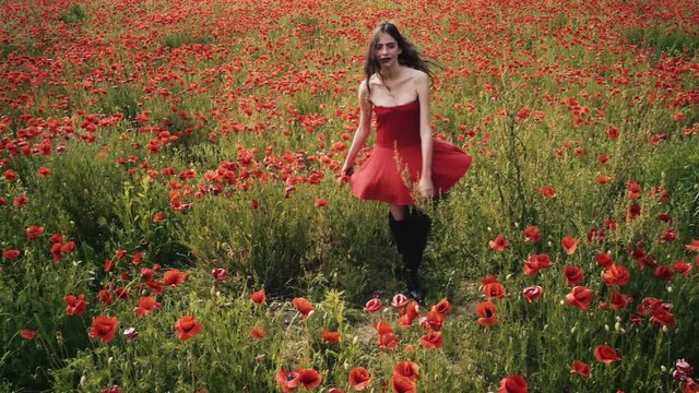 Sensual girl in poppy field. Young girl in the field. Girl laying in the field. Girl having fun in the flowwer field. Fild of flowers.