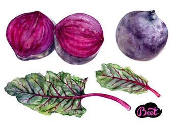 beet vegetable watercolor