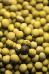 A pile of soy beans
