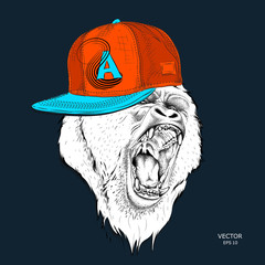 The poster with the portrait of the Ape in hip-hop cap. alpha of a pack of gorillas. Aggressive monkey. Vector illustration