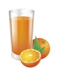 Glass of orange juice and oranges. Vector isolated illustration.