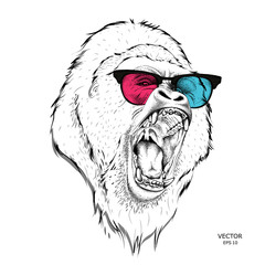Portrait of the gorillasin the colored glasses. Think different. Vector illustration.