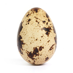 Obraz premium Quail egg isolated on white background