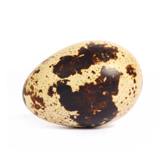 Quail egg isolated on white background