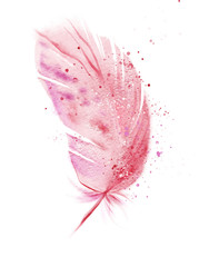 Pink flamingo watercolor feather.