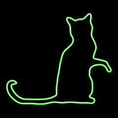 Neon glowing cat