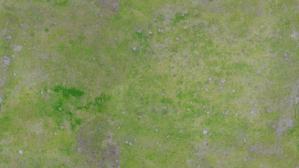 Green background based on a marsh ideal for texture and pattern. From the aerial view we notice...