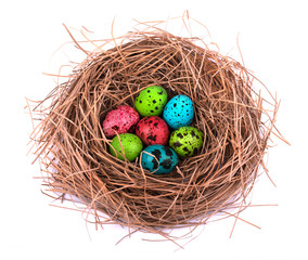 Obraz premium Easter eggs in nest painted, isolated on white background. Colored quail eggs