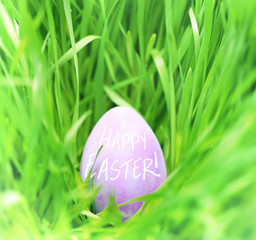 Hidden Easter egg in green grass