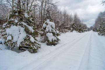 Railroad Tracks Snow Covered