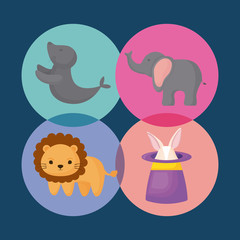 icon set of Circus animals concept over colorful circles and blue background, vector illustration