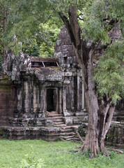 Naklejka premium Elephant Grounds Cambodia