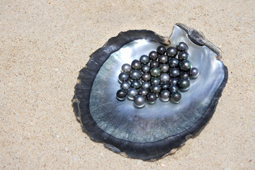 Flat lay view of excellent Round Tahitian Black Pearls