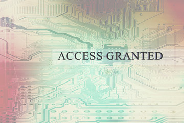 Access granted to server system technology