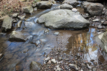 Small stream and rocks at spring forest