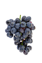 Grapes in white background