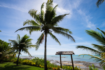 Fototapeta premium Beach cliff top view, Cumuruxatiba, Bahia