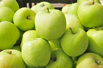 Put the apple on the market