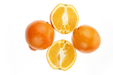 The oranges on a white background
