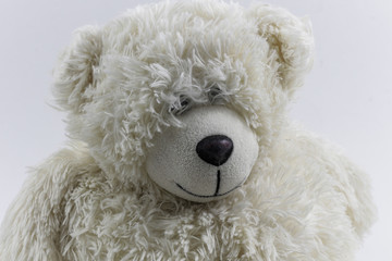 Cute stuffed Bear