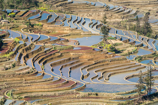 At Duoyishu Viewpoint with morning sky on background in Yuanyang, South of China.