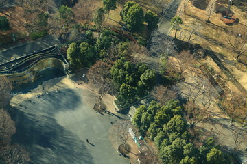 上空から見た冬の新宿中央公園