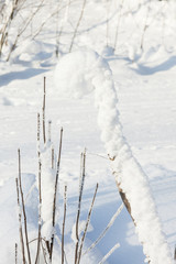 Stick and snow at sunny winter day
