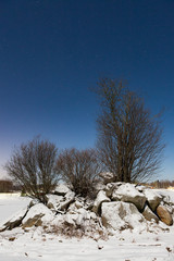 Cold night landscape lit by moonlight