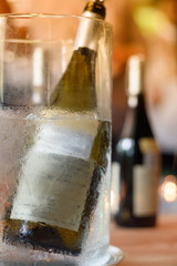 Wine bottle immersed in an ice bucket.