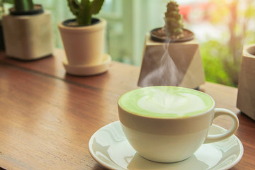 Milk green tea in white cup with cactus on wood