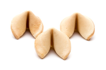 Fortune Cookies on a White Background