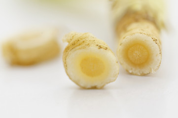 fresh dill root
