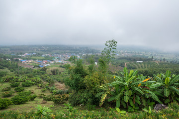Fototapeta na wymiar Banana Agriculture on the village mountain in forest with mist and cloudy sky, Traveling in Thailand