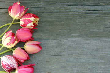 Colorful tulips bouquet on wooden background. Top view with space for your text