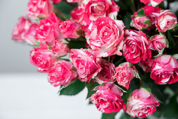 Beautiful pink roses on a white wooden surface