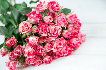 Beautiful pink roses on a white wooden surface